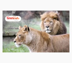 Parque de Naturaleza de Cabárceno Cantabria