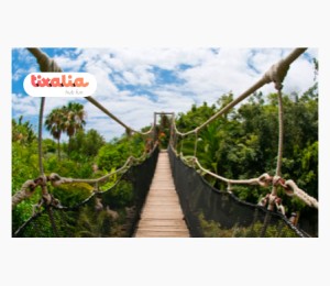 Jungle Park