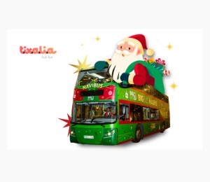 Navibus Tour Madrid