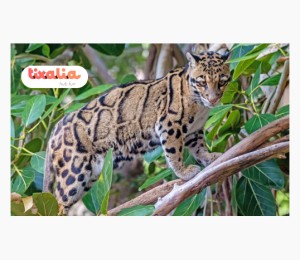 Terra Natura Benidorm