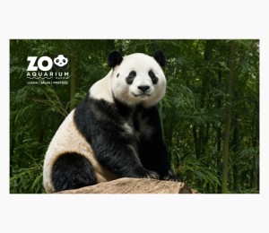 Zoo Aquarium de Madrid