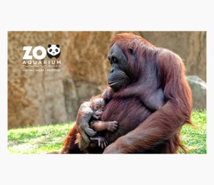 Zoo Aquarium de Madrid