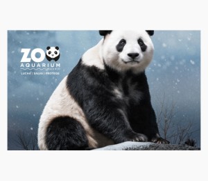 Zoo Aquarium de Madrid