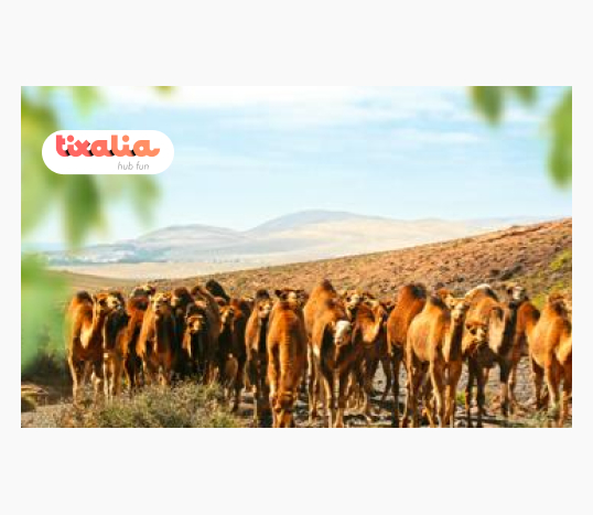 Oasis Wildlife Fuerteventura