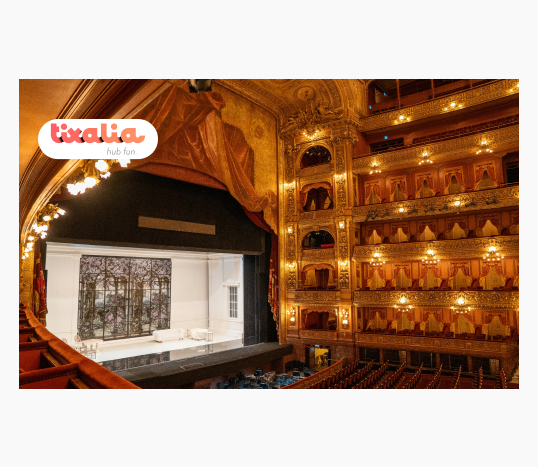 Entradas de Musicales y Teatros