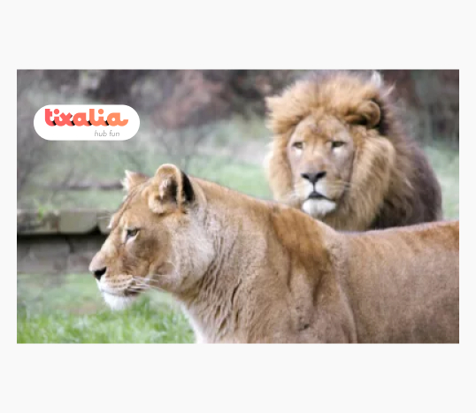 Parque de Naturaleza de Cabárceno Cantabria