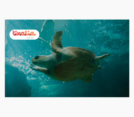 Acuario de Gijón