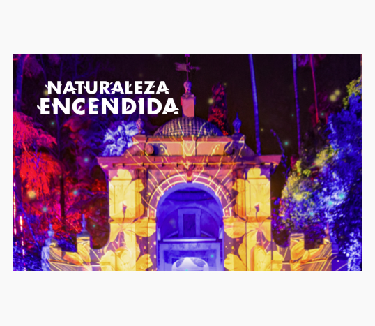 Naturaleza Encendida Arras Sevilla