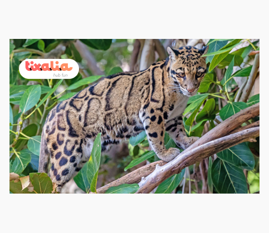 Terra Natura Benidorm