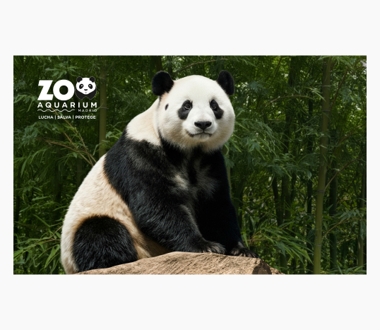 Zoo Aquarium de Madrid