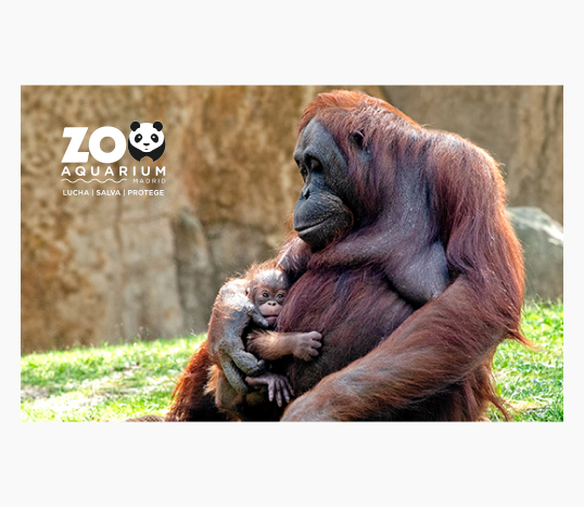 Zoo Aquarium de Madrid